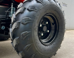 ATV Offroad ДЕЗЪРТ триместна електрическа триколка TS 350-7-NEW 2500W 25Ah снимка 213