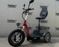 Електрическа триколка с равна платформа и облегалка TS 200.3 48V 750W снимка 26